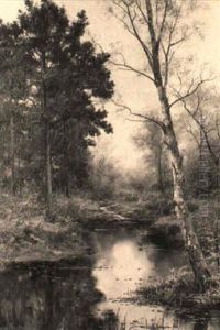 The Pool Beneath The Pines