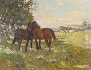 Horses In A Sunlit Field