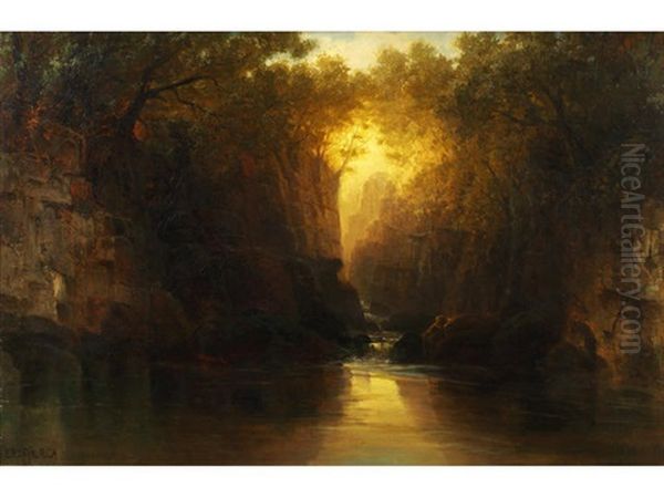 Evening Light - view 1