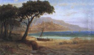 Haifa