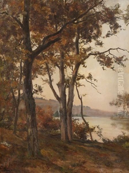 Arbres En Bord De Riviere - view 1