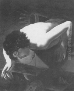 Narcissus