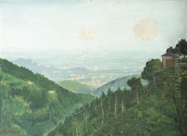 Panorama Da Oropa - view 1