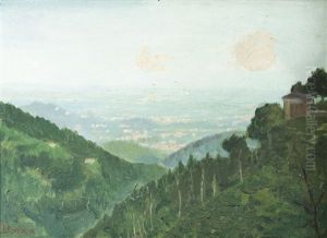 Panorama Da Oropa by Piero Bora