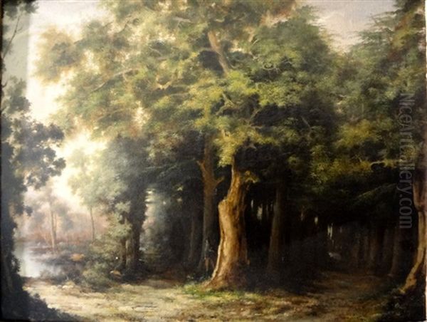 Bosco Con Cacciatore - view 1
