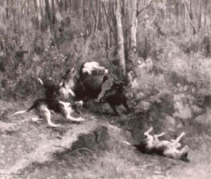 The Boar Hunt by Edmond Borchard