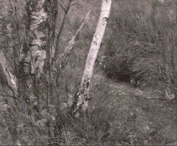 Wiesenstuck Mit Birken - view 1