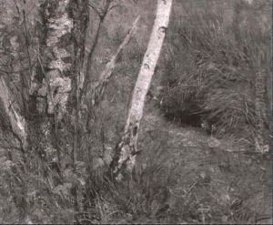 Wiesenstuck Mit Birken