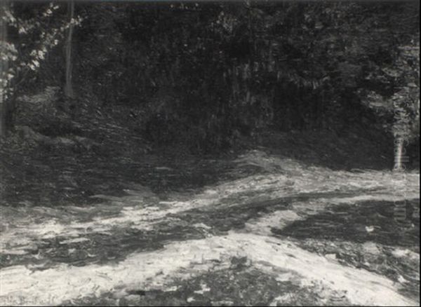 Chemin En Foret - view 1