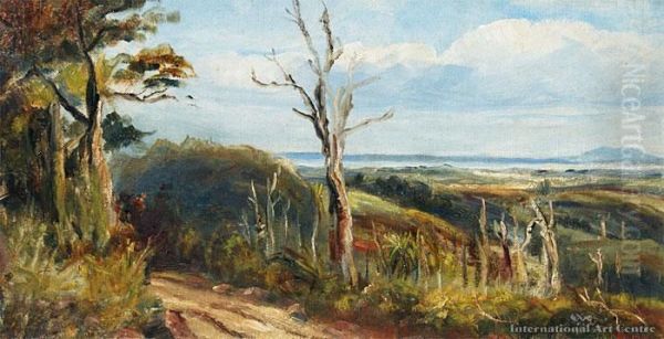 Auckland Harbour From Titirangi - view 1