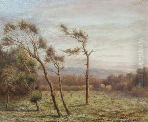 Clevedon by Albert Edward Aldis