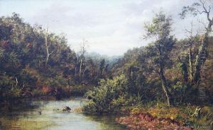 Waitakere Creek