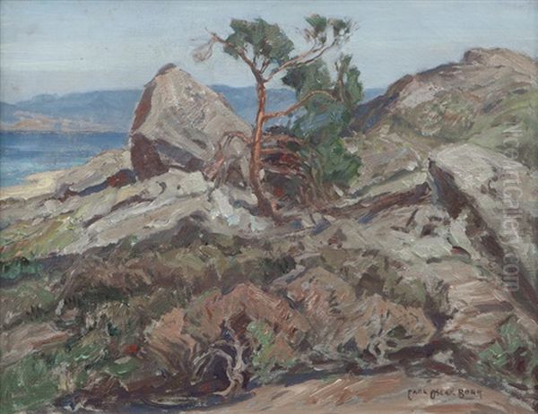 Carmel Coast - view 1