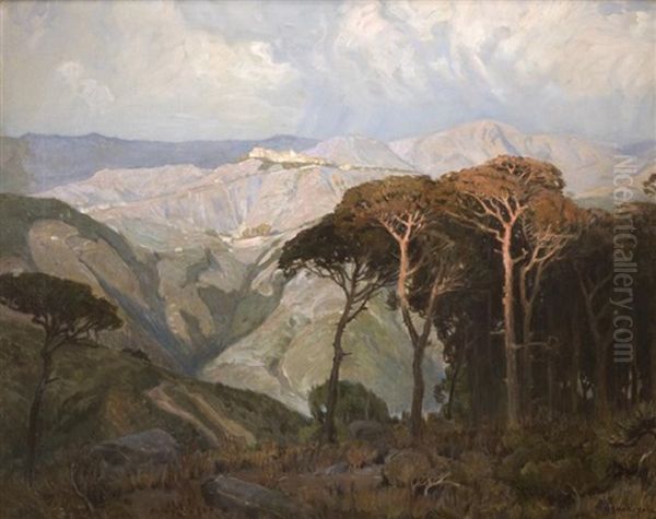 Monte Cassino - view 1