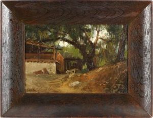 Mossy Shack