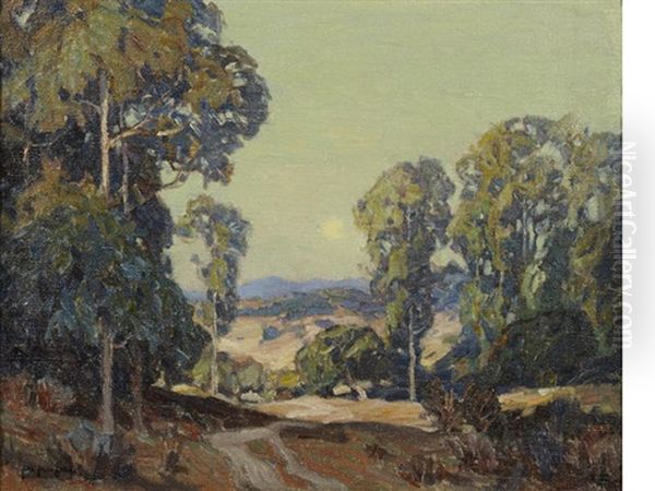 A Road Through A Eucalyptus Grove - view 1