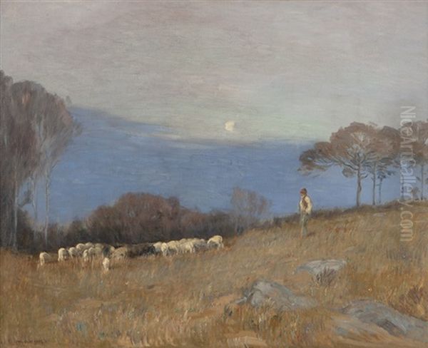 Shepherd In A California Landscape - view 1