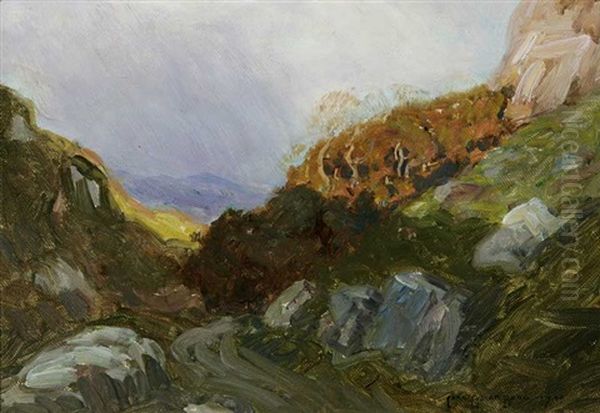 Mountain Landscape - view 1