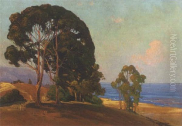 Santa Barbara Coastal - view 1