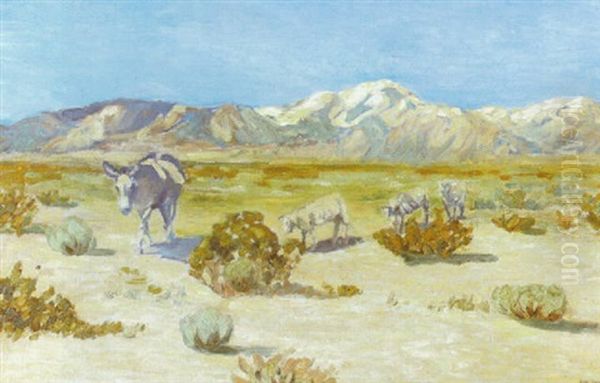 Desert Friends - view 1