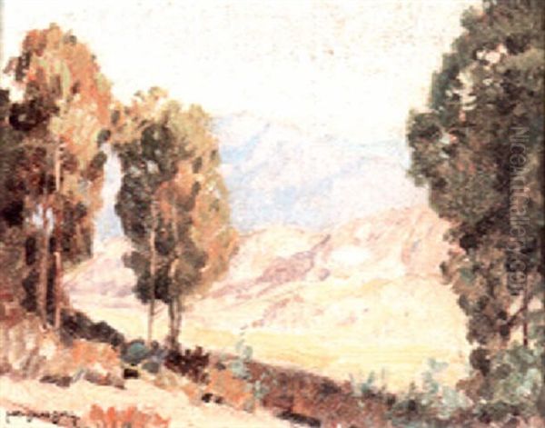 Valley View Through Trees - view 1