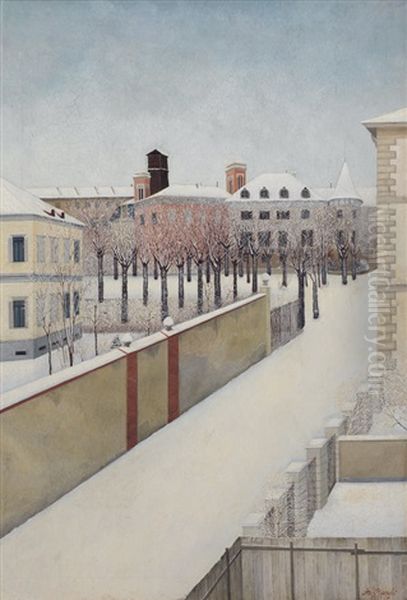 Nevicata A Rivoli - view 1