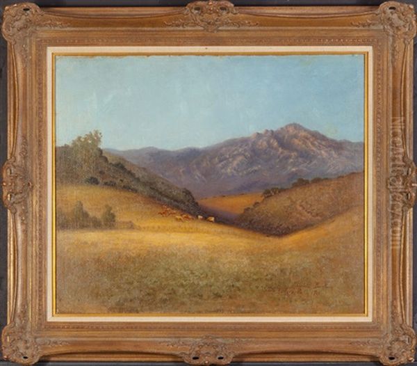 Santa Barbara, California - view 1