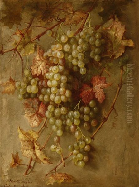 Still Life With Grapes - view 1