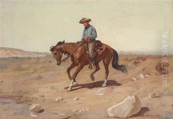California Cowboy - view 1