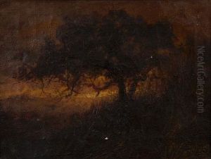 Sunset Beyond The Trees