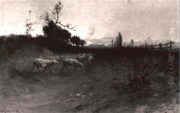Sheep In California Landscape - view 1
