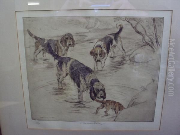 Four Dogs In A Shallowstream - view 1