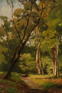 A) Forest Edge B) Forest Fen by Jan Willem Van Borselen