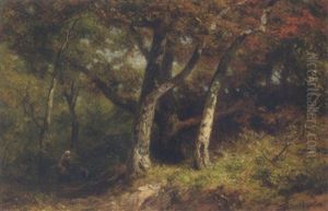 Gathering Wood In The Forest