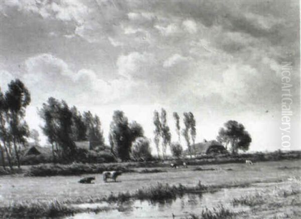 Cows In A Polder Landscape - view 1