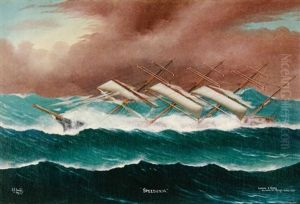 Speedonia In White Water by Reginald Arthur Borstel