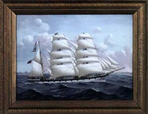 The Bark "noodleburn" by Reginald Arthur Borstel