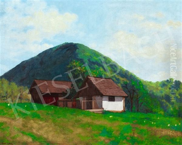 Nagybanya Landscape With Kereszthegy - view 1