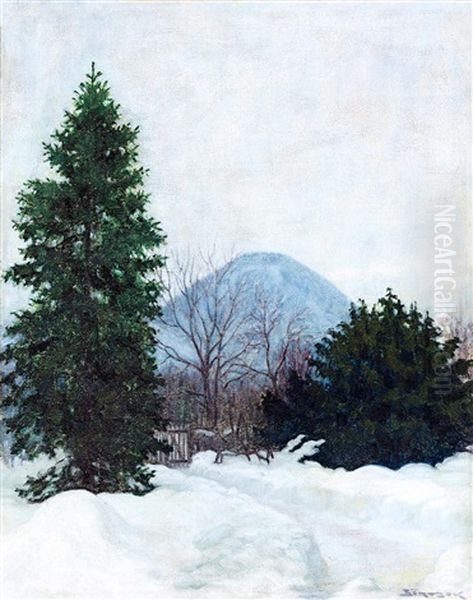 Winter Iin Nagybanya - view 1