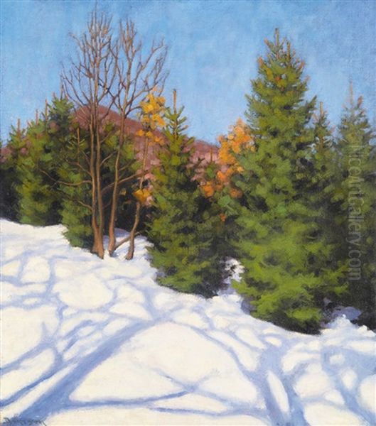 Winter Sunlight - view 1