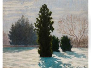Winterlandschaft by Samu Boertsoek