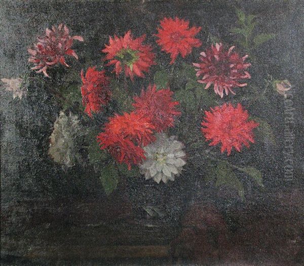 Dahlias - view 1