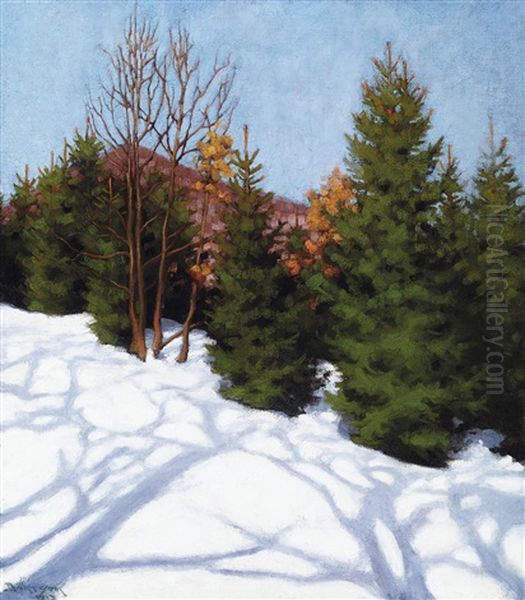 Winter Sunshine - view 1