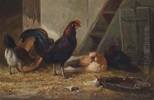 Huhner Im Stall by Gerard Jan Bos
