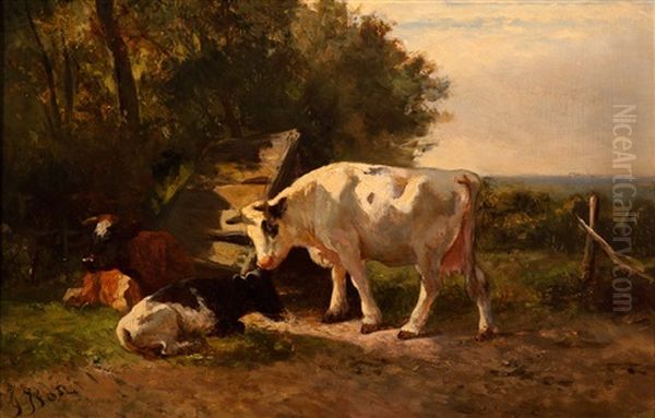 Resting Cows On A Summer Afternoon - view 1