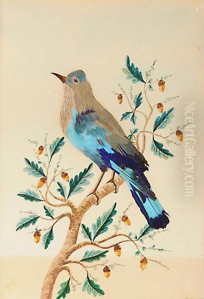Uccelli - view 1