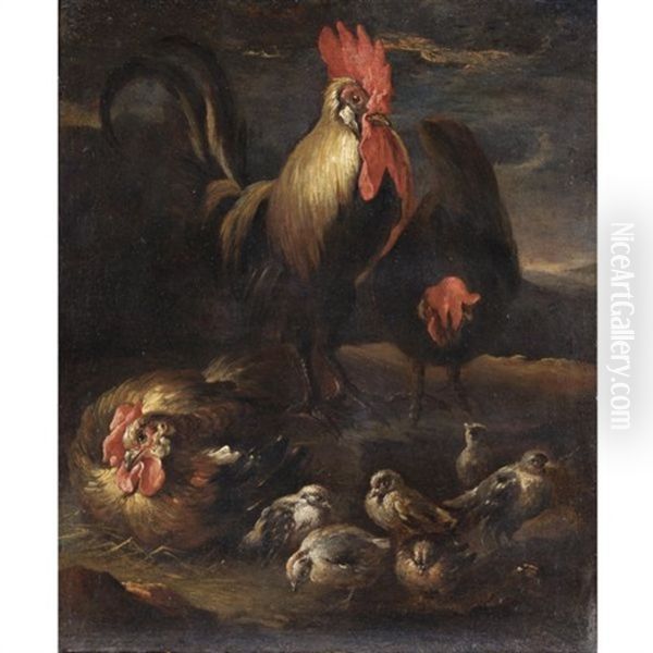 Un Gallo Con Gallina E Pulcini - view 1
