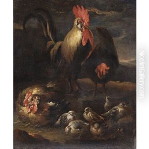 Un Gallo Con Gallina E Pulcini