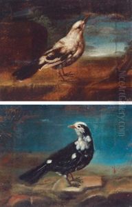 Vogel (+ Another Similar; Pair) Vogel (+ Another Similar; Pair)