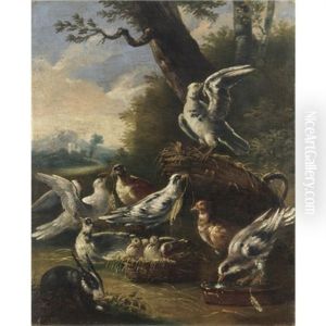 La Piccionaia La Piccionaia